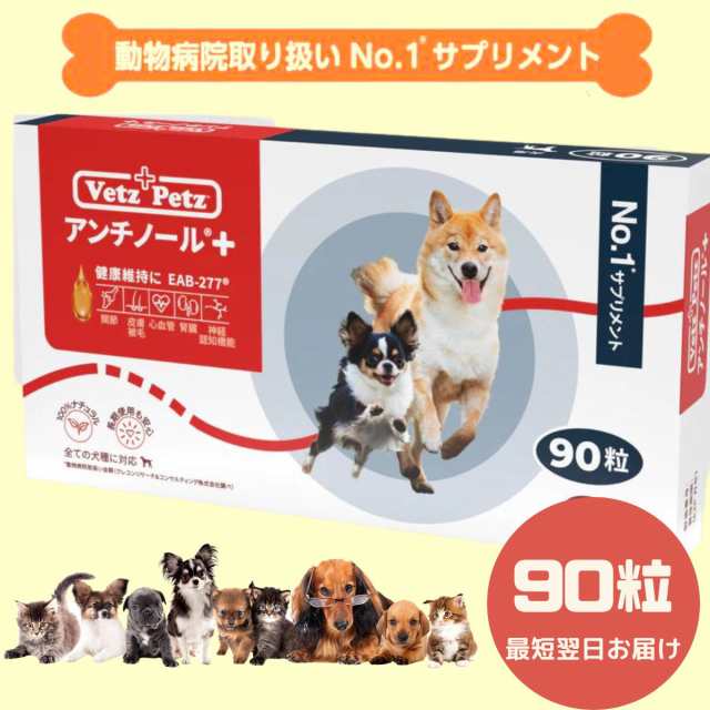 アンチノールプラス 90粒 犬-